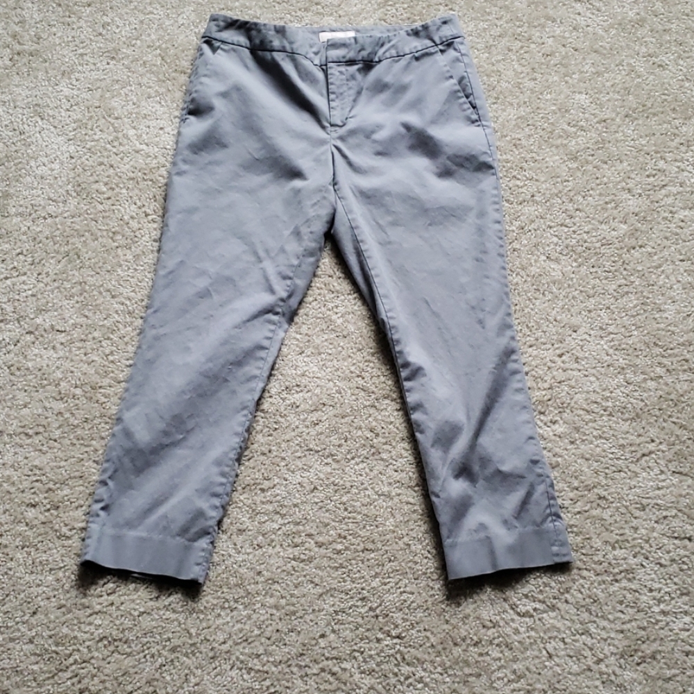 Banana Republic Hampton Fit Size 10